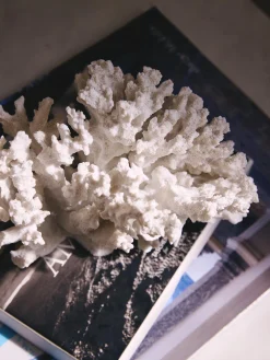 Oggetto decorativo di design Coral
