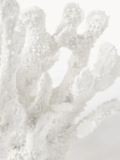 Oggetto decorativo di design Coral