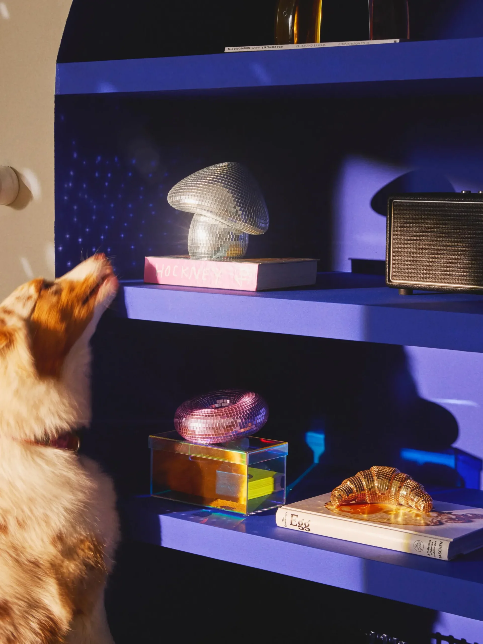 Oggetto decorativo scintillante Disco Croissant