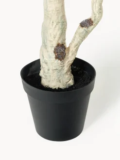 Pianta artificiale Birch Tree Green