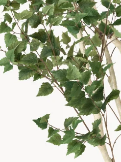 Pianta artificiale Birch Tree Green