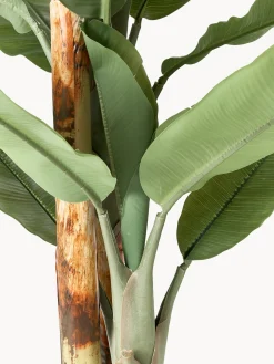 Pianta artificiale Banana Tree