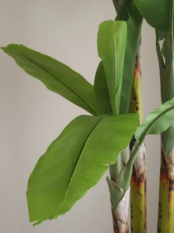 Pianta artificiale Banana Tree