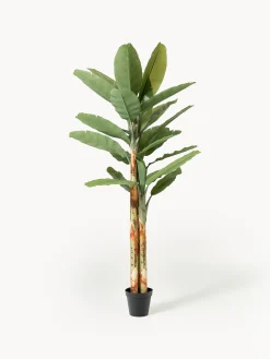 Pianta artificiale Banana Tree
