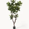 Pianta artificiale Fiddle Leaf Fig