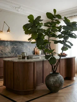 Pianta artificiale Fiddle Leaf Fig