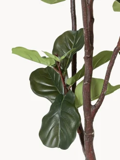 Pianta artificiale Fiddle Leaf Fig