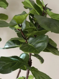 Pianta artificiale Fiddle Leaf Fig