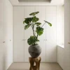 Pianta artificiale Monstera