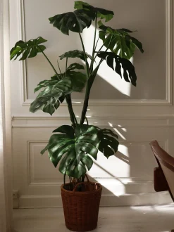 Pianta artificiale Monstera
