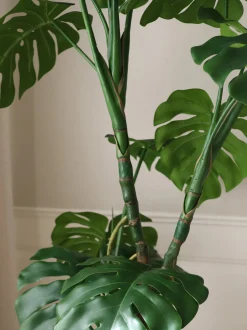 Pianta artificiale Monstera