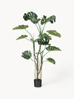 Pianta artificiale Monstera