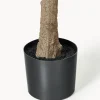 Pianta artificiale Olive Tree