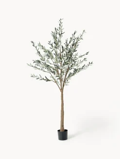 Pianta artificiale Olive Tree