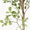 Pianta artificiale Tropical Almond