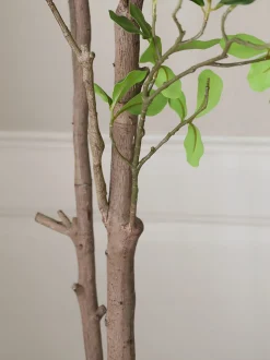 Pianta artificiale Tropical Almond