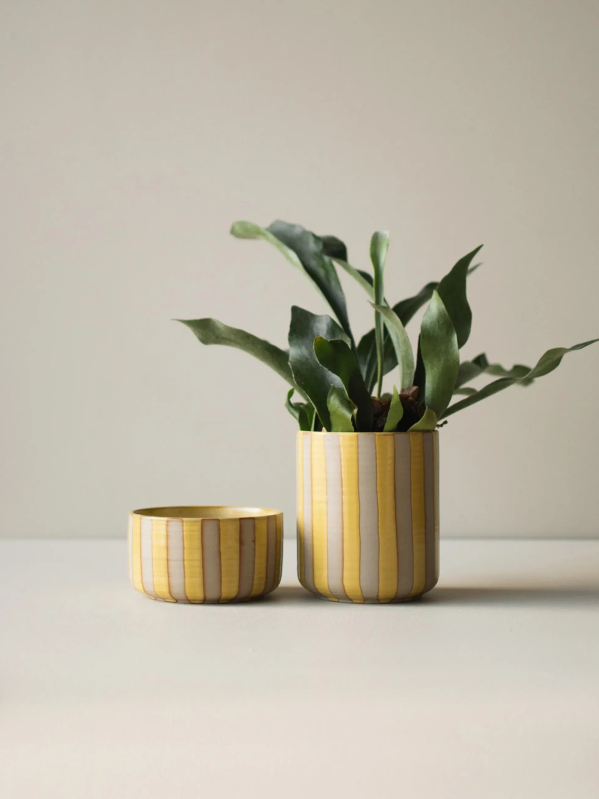 Portavaso in ceramica Line