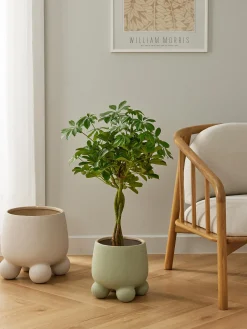 Portavaso Olea, alt. 26 cm