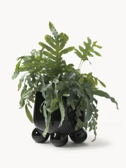 Portavaso Olea, alt. 26 cm