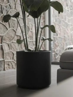 Portavaso Solid
