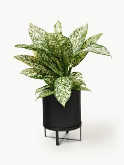 Portavaso con superficie millerighe Bau, alt. 38 cm