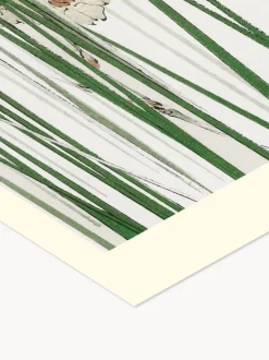 Poster Jonquil