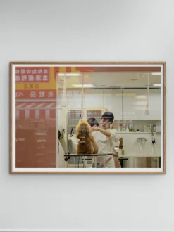 Poster Salon