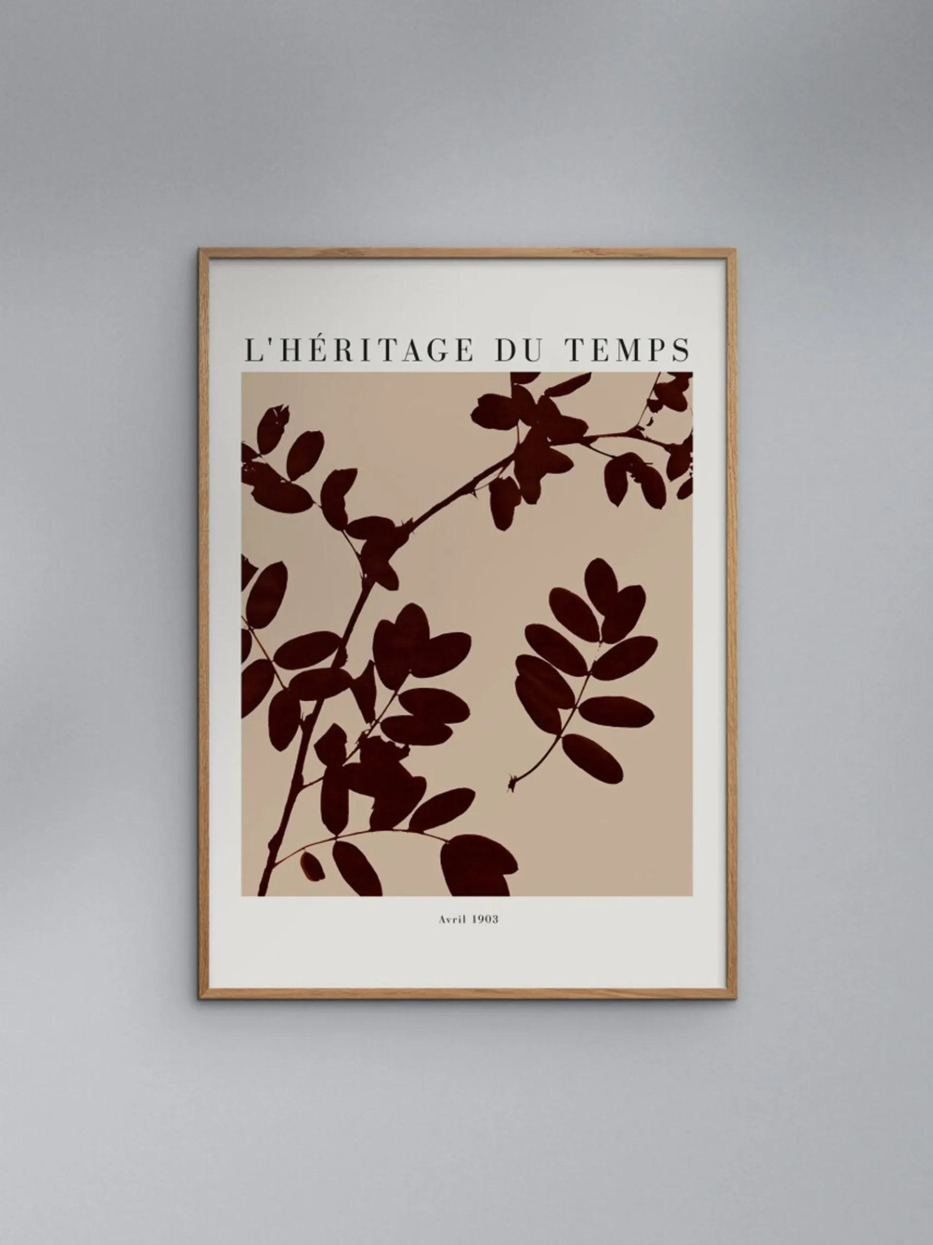 Poster Lheritage Du Temps