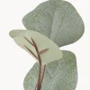 Ramo decorativo Eukalyptus