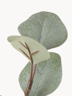 Ramo decorativo Eukalyptus