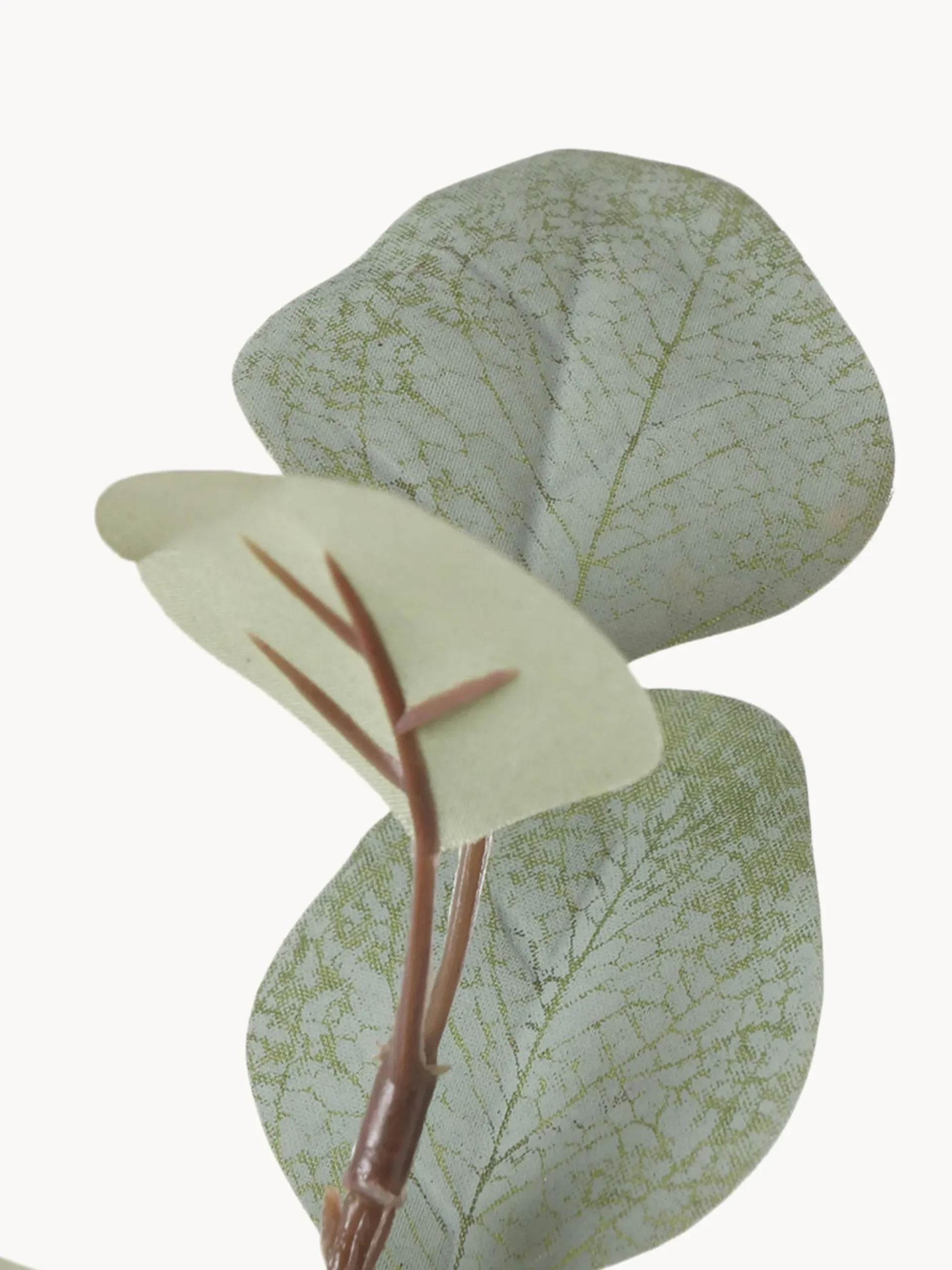 Ramo decorativo Eukalyptus