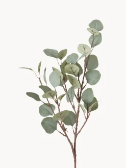 Ramo decorativo Eukalyptus