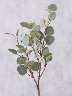 Ramo decorativo Eukalyptus