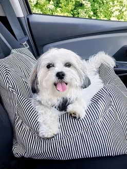 Seggiolino auto per animali domestici con cintura di sicurezza Premium, varie misure