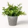 Set 3 piante artificiali in vaso Timothy