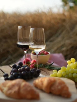 Set di 6 bicchieri da vino bianco in cristallo Cocoon