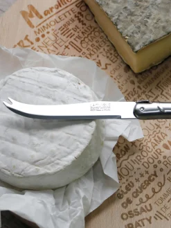 Set di 2 coltelli di farmaggio Debutant Inox