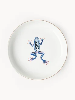 Set di 4 piatti per pasta Flamboyant