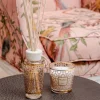 Set confezione regalo My First Baobab Women (magnolia, rosa e muschio) 2 pz