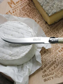 Set di 2 coltelli da formaggio Debutant