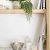 Set di 4 utensili con contenitore Botta