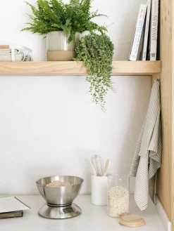 Set di 4 utensili con contenitore Botta