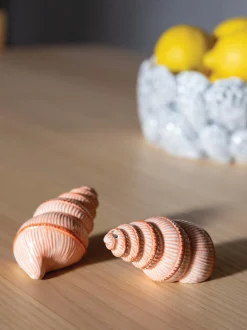 Set saliera e pepiera in dolomite dipinte a mano Shell 2 pz