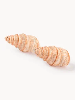 Set saliera e pepiera in dolomite dipinte a mano Shell 2 pz
