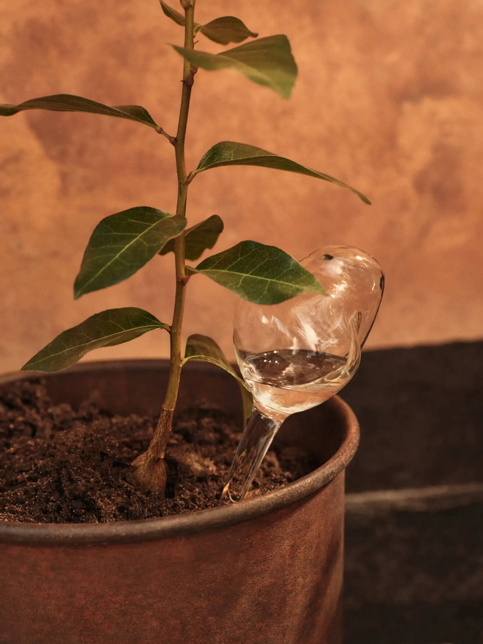 Sfere d'acqua in vetro soffiato Mercury, set da 2