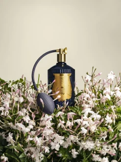 Spray per ambienti fatto a mano Salta (pompelmo)