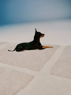 Tappeto morbido a pelo lungo con motivo in rilievo Jade