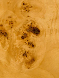 Tavolino da salotto in legno di eucalipto Quinn