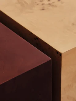 Tavolino da salotto in legno Burl