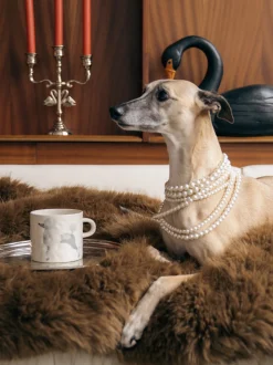 Tazza fatta a mano Poodle